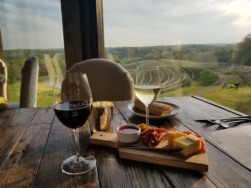 Outdoor Patio Dining Above the Vines