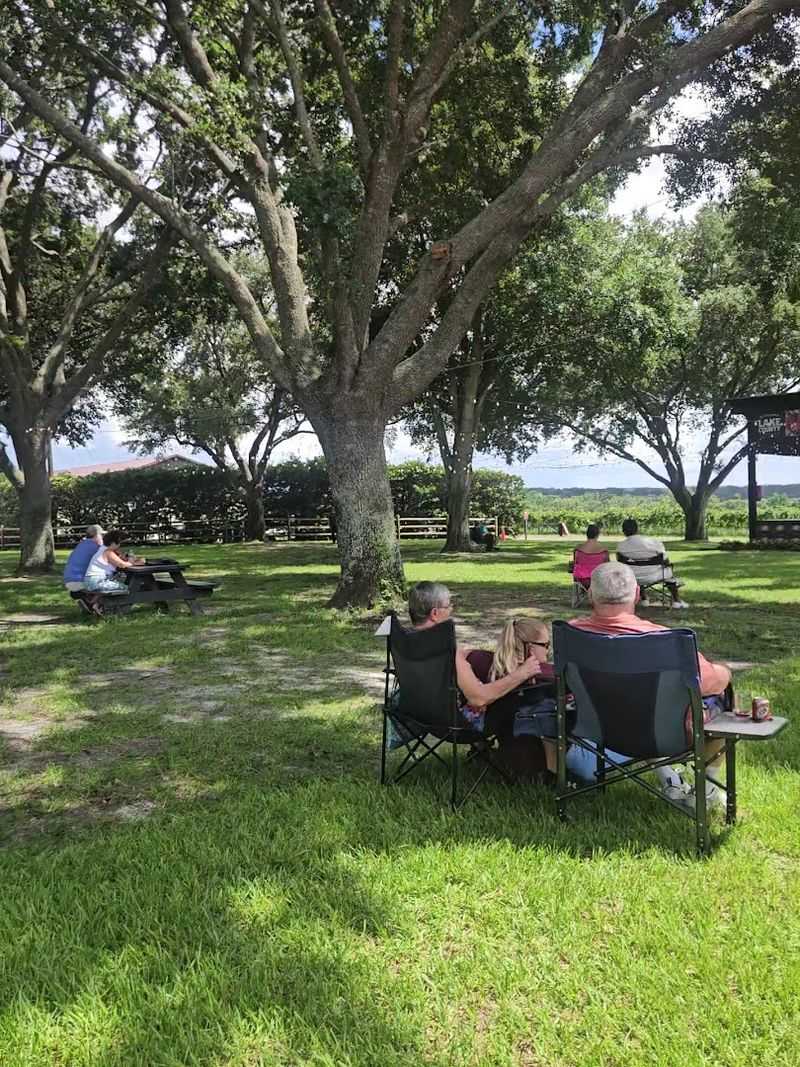 Outdoor Picnic Area Perfect for Families