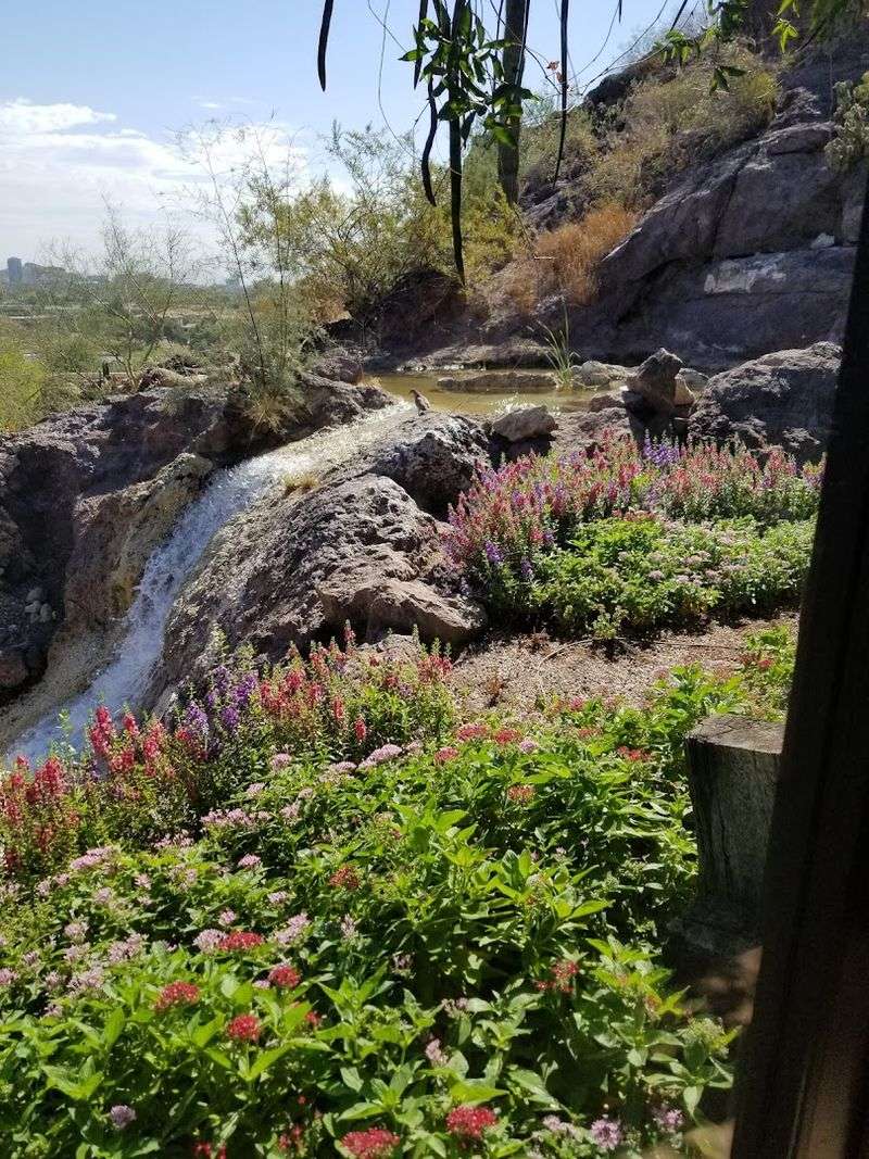 Outdoor Seating With Perfect Arizona Weather