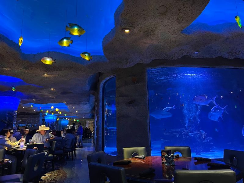 Outstanding Service That Guests Cannot Stop Praising