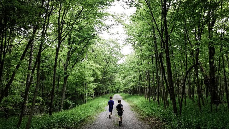 Over 10 Miles of Well-Marked Hiking Trails