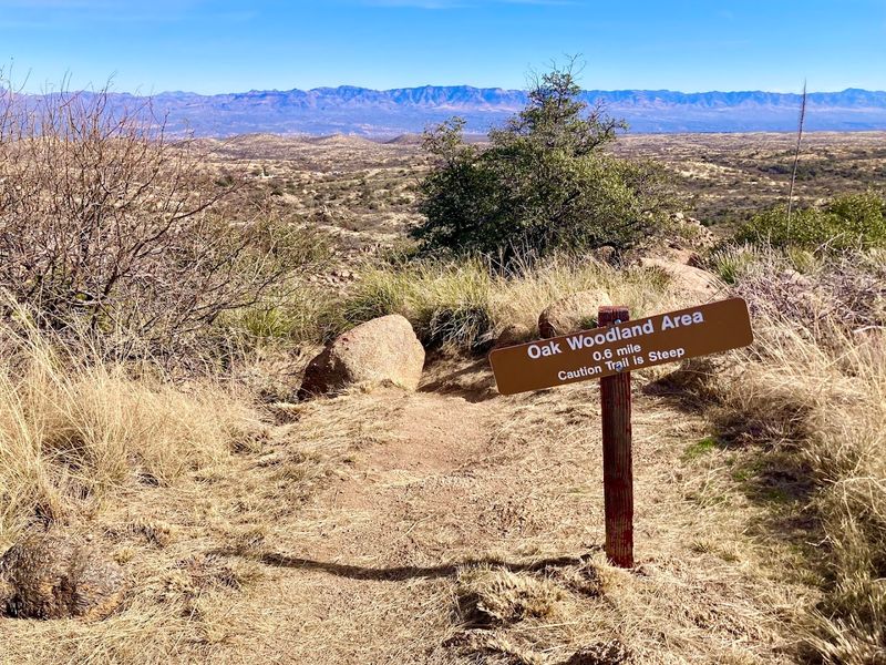 Over 15 Miles of Trails Connecting to the Arizona National Scenic Trail