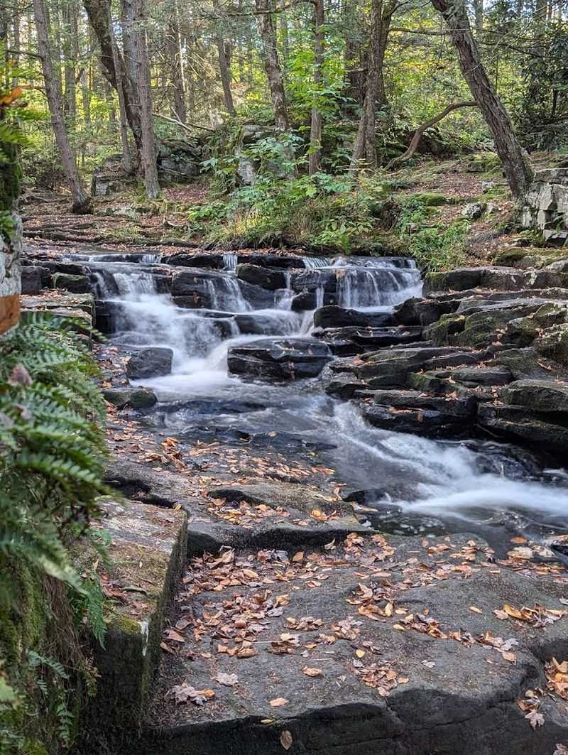 Over 30 Miles of Hiking Trails for Every Skill Level Over 30 Miles of Hiking Trails for Every Skill Level