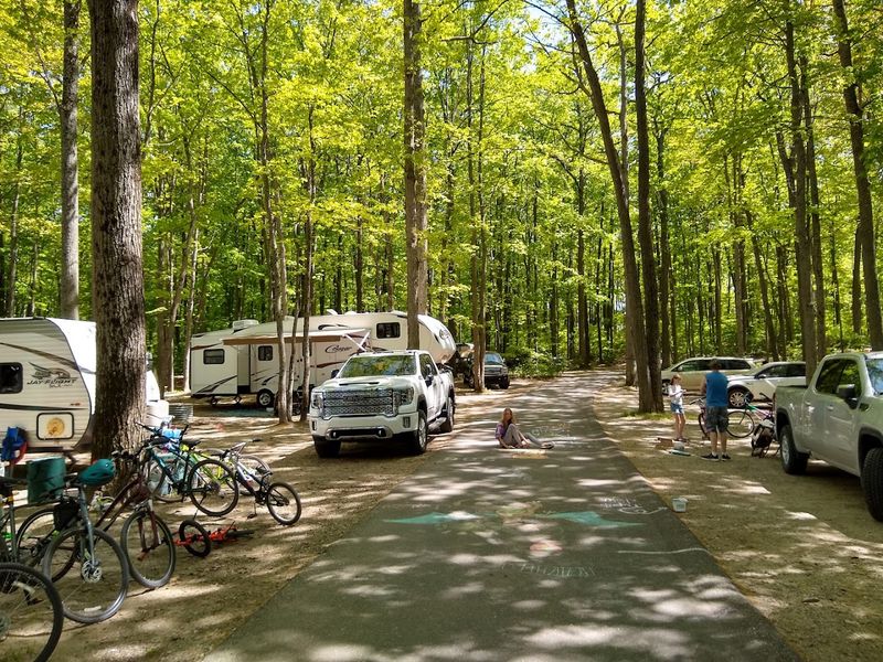 Over 400 Campsites With Excellent Tree Cover