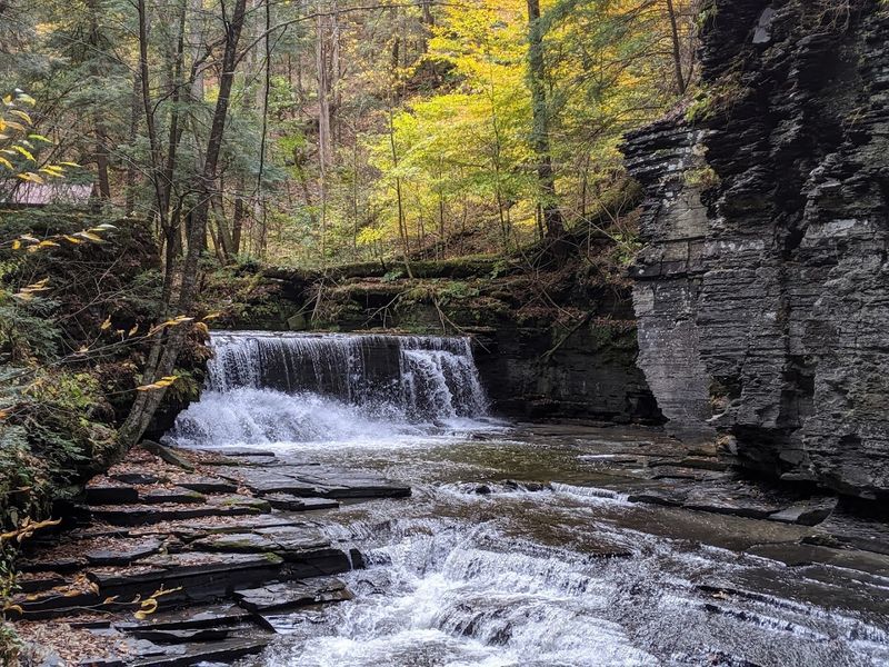 Over Seven Miles of Well-Marked Trails