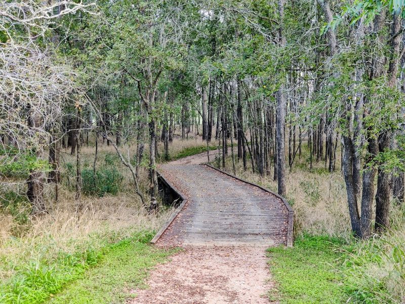 Oxbow Lake Loop Trail and Its Wooden Boardwalk