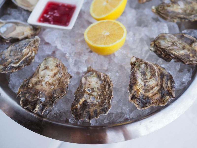Oysters Oysters
