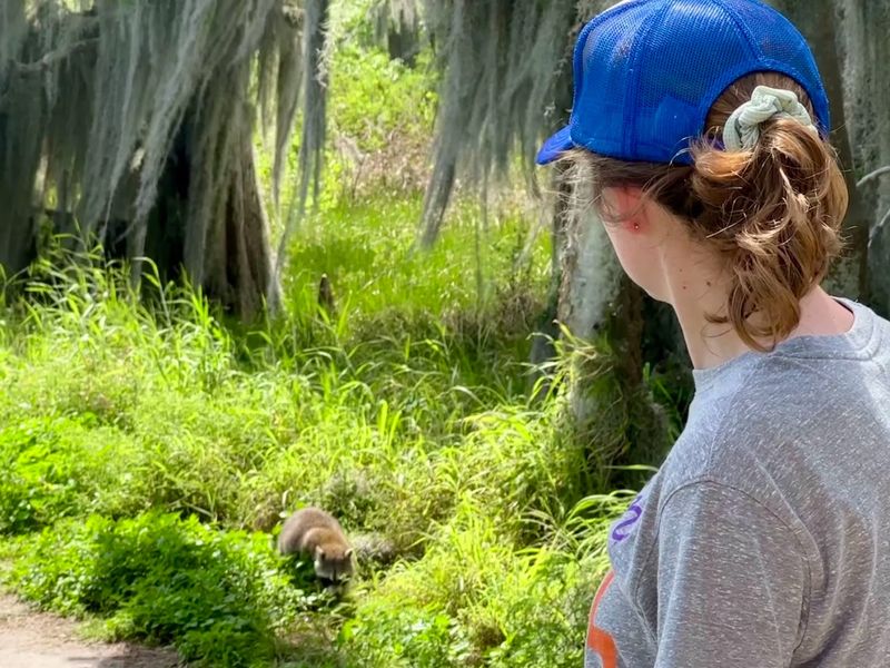 Packing Smart: What to Bring for the Perfect Trail Day Packing Smart: What to Bring for the Perfect Trail Day