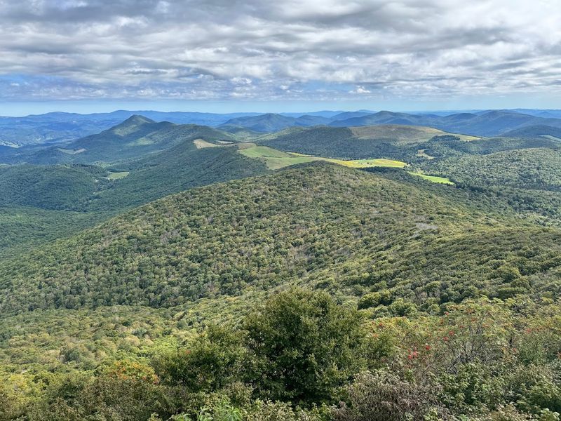 Panoramic Views That Will Stop You in Your Tracks