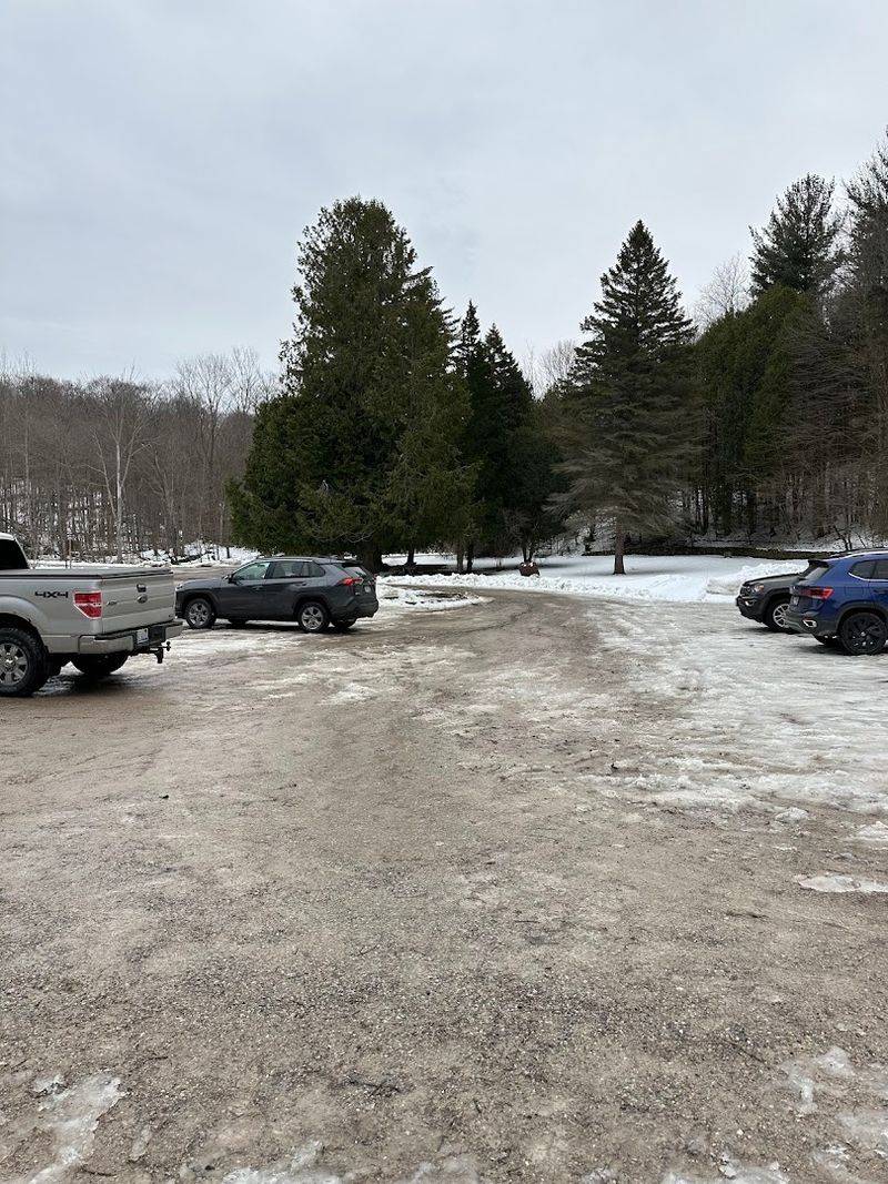 Parking, Passes, and Practical Tips