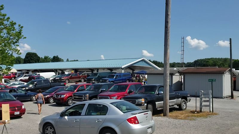 Parking, Scooter Rentals, and Getting Around the Grounds