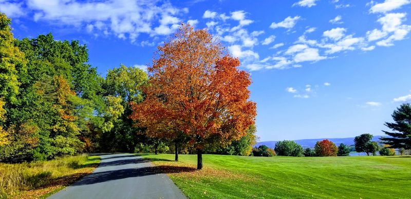 Parks and Nature Just Minutes Away