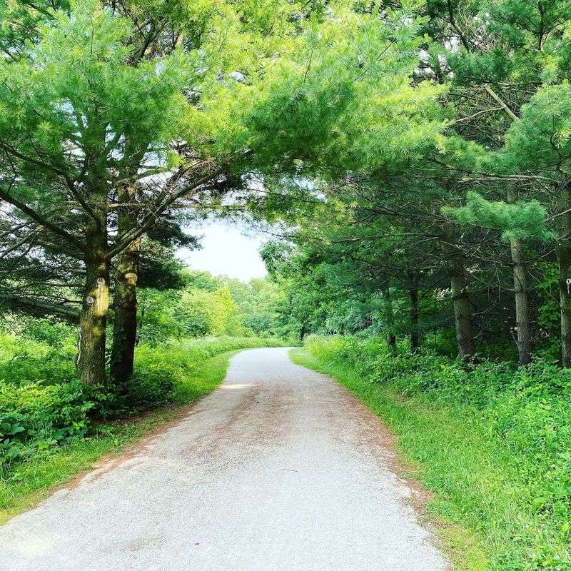 Peaceful Flat Trails Perfect for Every Fitness Level