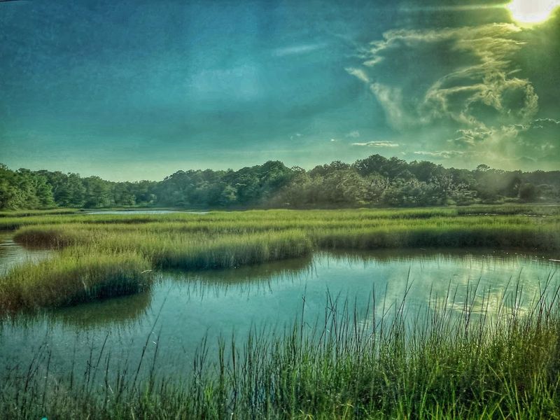 Peaceful Hiking and Biking Trails Through Salt Marsh Scenery