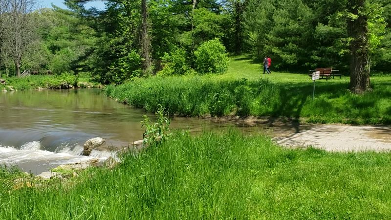 Peaceful Picnic Areas Scattered Throughout the Park