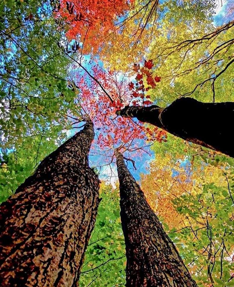 Peaceful Scenery and Outdoor Activities Right Outside Your Door