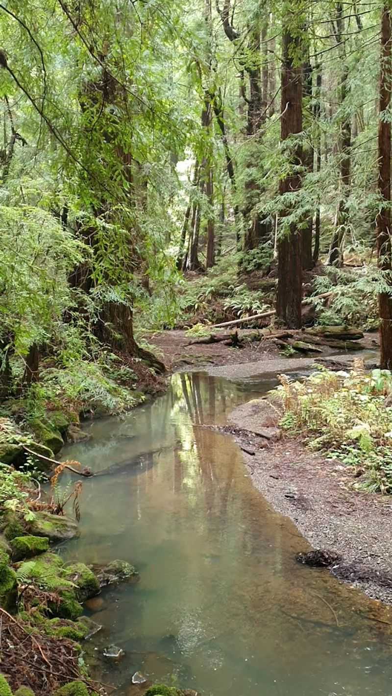 Peaceful Solitude Far From the Crowds