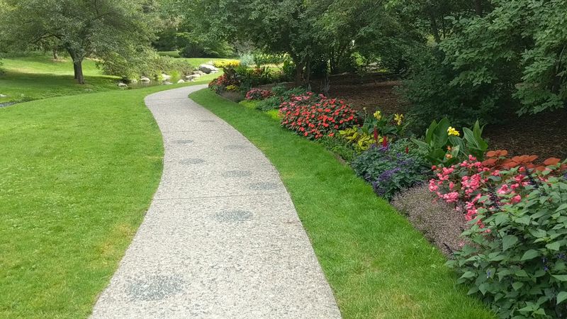 Peaceful Walking Trails for All Fitness Levels