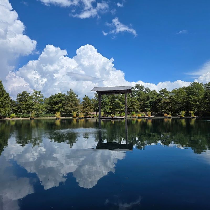 Peaceful Water Features That Calm the Mind Instantly