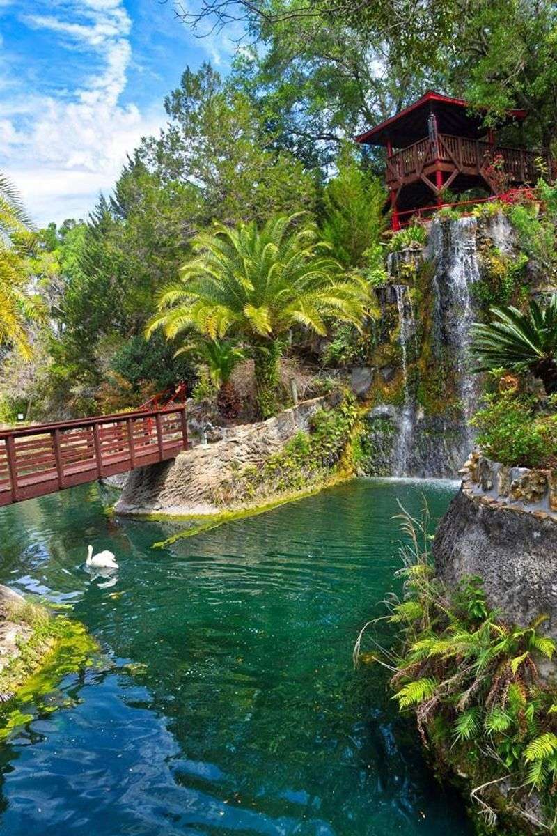 Peaceful Water Features That Calm the Soul