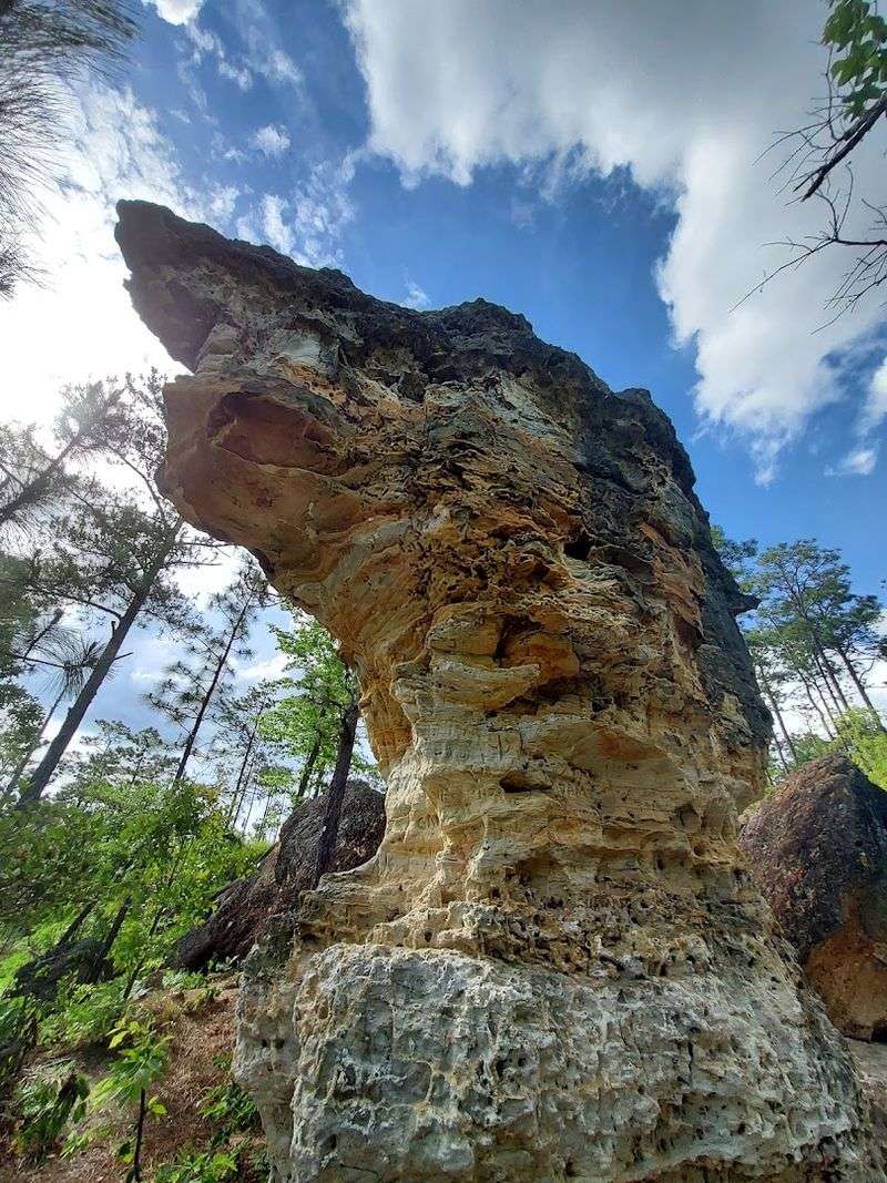 Peachtree Rock Heritage Preserve - Lexington, South Carolina