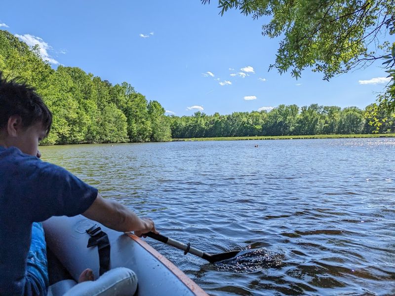 Pedal Boats and Canoe Rentals: Fun on the Calm Water