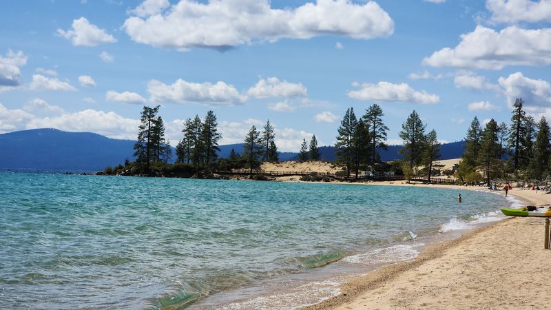 Perfect Picnic Spots for Families and Friend Groups