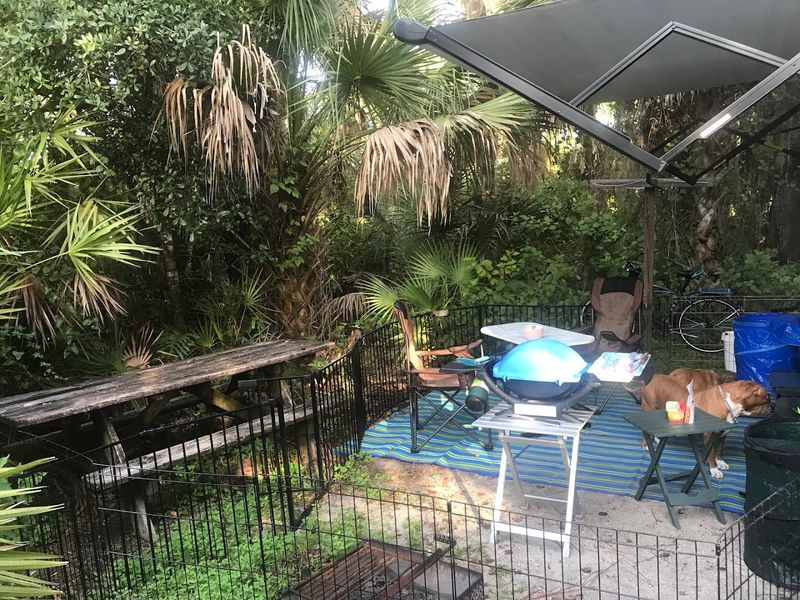Pet-Friendly Camping With a Few Smart Rules