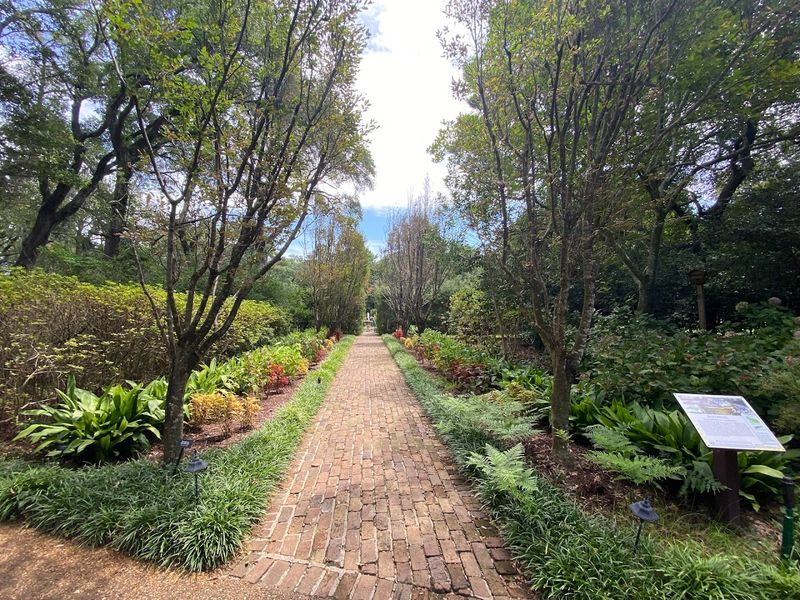 Pet-Friendly Pathways Perfect for a Leisurely Stroll
