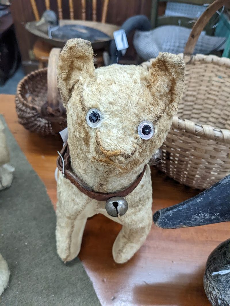 Pet-Friendly Policy That Welcomes Your Four-Legged Shopping Buddy Pet-Friendly Policy That Welcomes Your Four-Legged Shopping Buddy