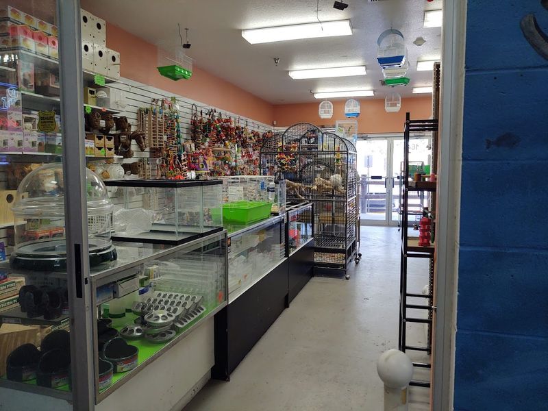 Pet Section That Draws Families and Animal Lovers