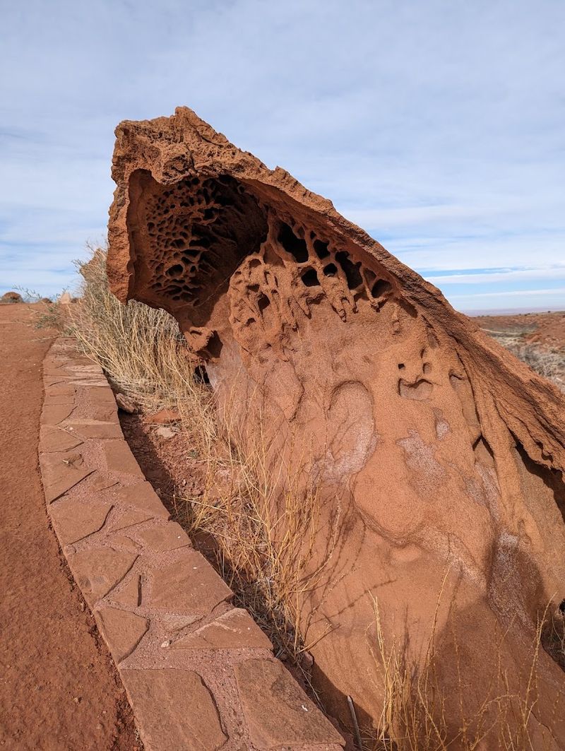 Petroglyphs and Hidden Details Waiting to Be Found