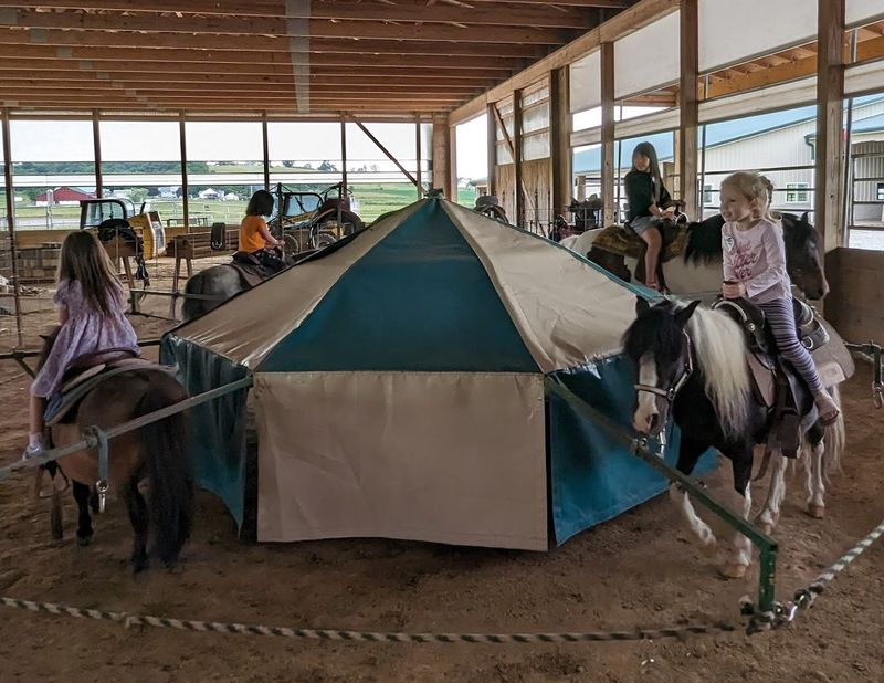 Petting Zoo Packed with Personality