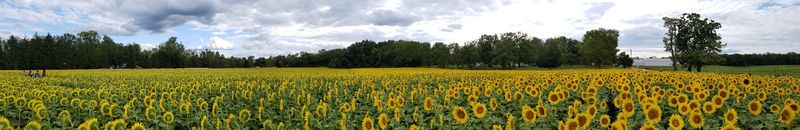 Photography Heaven for Every Skill Level