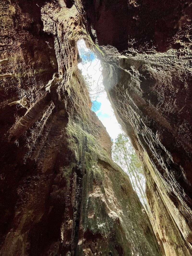 Photography Opportunities That Go Beyond the Canyon