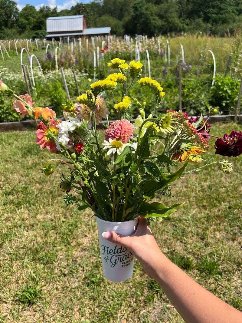 Pick-Your-Own Bouquets That Feel Genuinely Personal Pick-Your-Own Bouquets That Feel Genuinely Personal