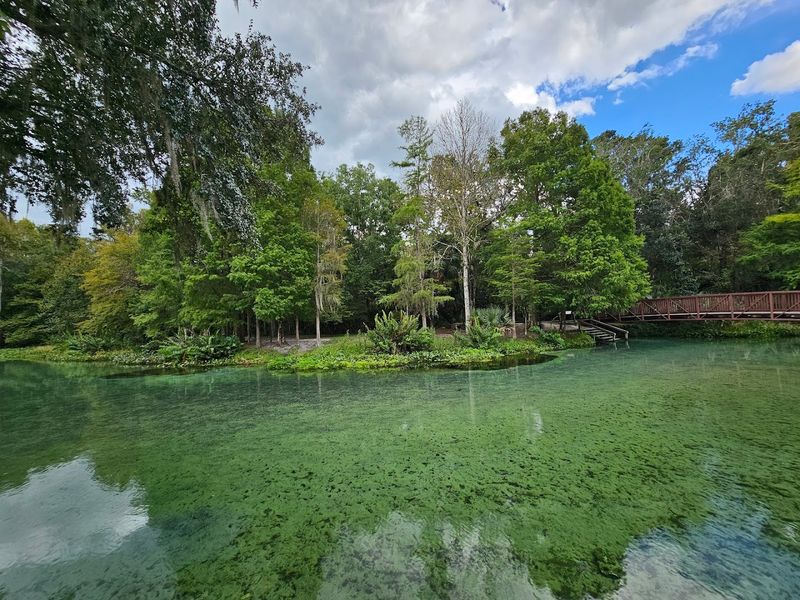 Picnic Areas, BBQ Grills, and Park Facilities