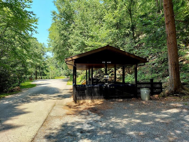 Picnic Areas Perfect for Family Gatherings