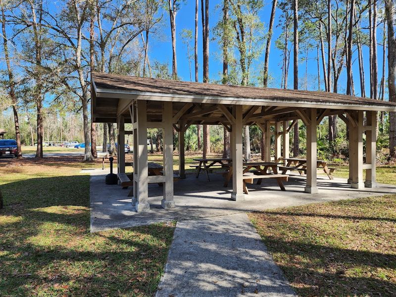 Picnic Areas Perfect for Family Outings Picnic Areas Perfect for Family Outings