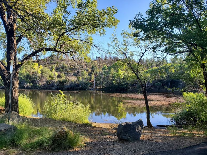 Picnic Areas Perfect for a Relaxed Family Day Out