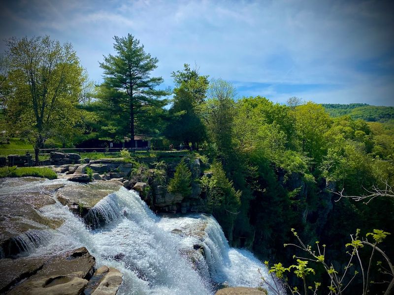 Picnic Areas Perfect for a Relaxing Day Out