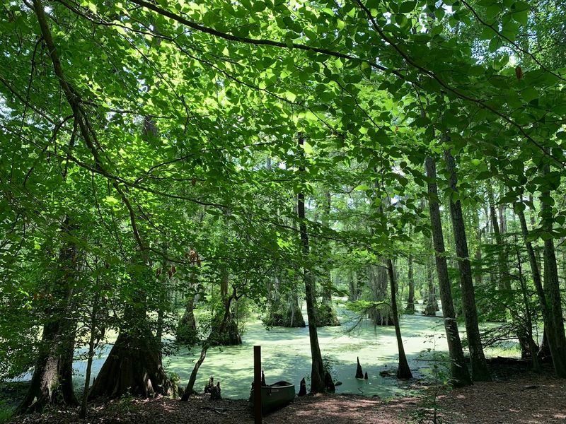 Picnic Areas Perfect for a Relaxing Lunch