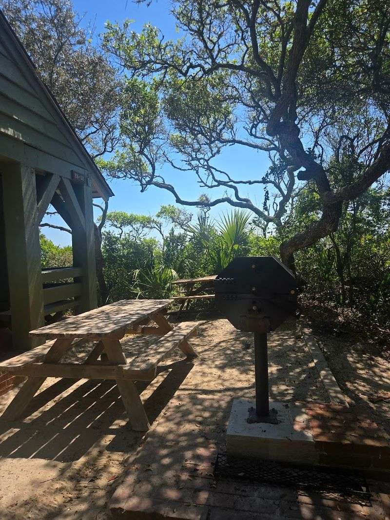 Picnic Areas, Playgrounds, and Family-Friendly Amenities Throughout the Park