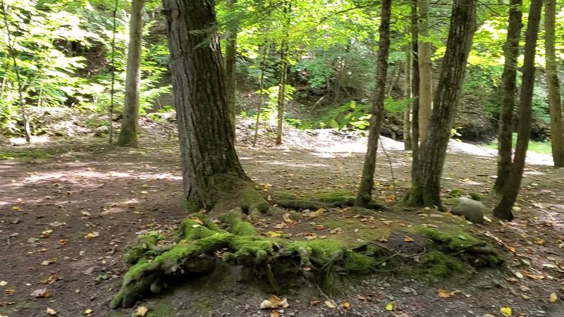 Picnic Areas That Make Lunch Feel Like an Event