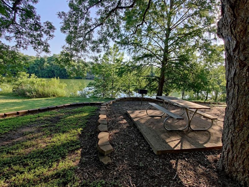 Picnic Areas With Shade, Tables, and a Peaceful River View