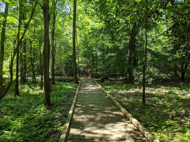 Picnic Areas With Shaded Tables