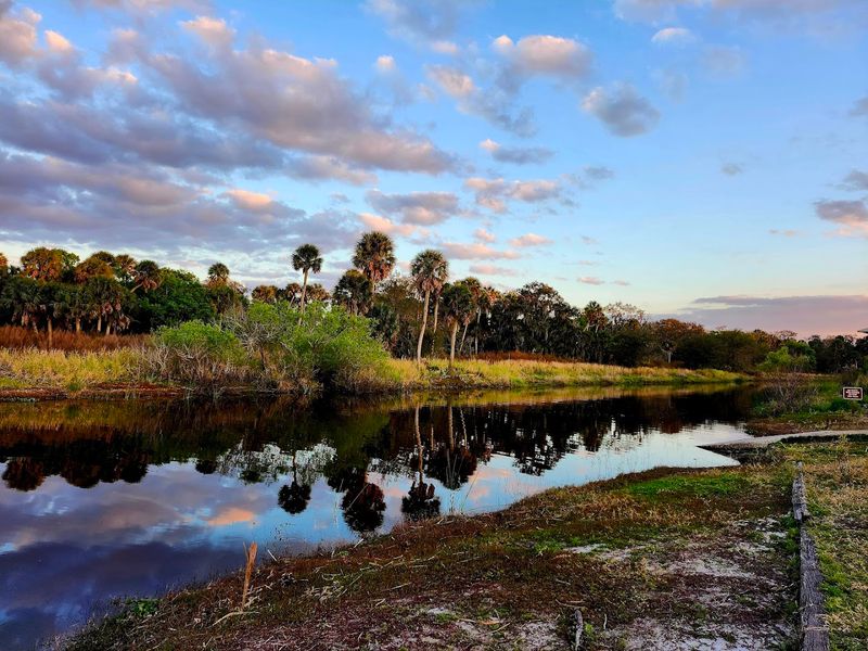 Picnic Areas With Stunning Natural Views