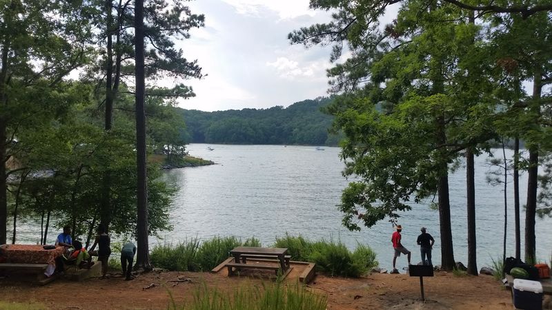 Picnic Areas With Views That Make Lunch Feel Like a Luxury