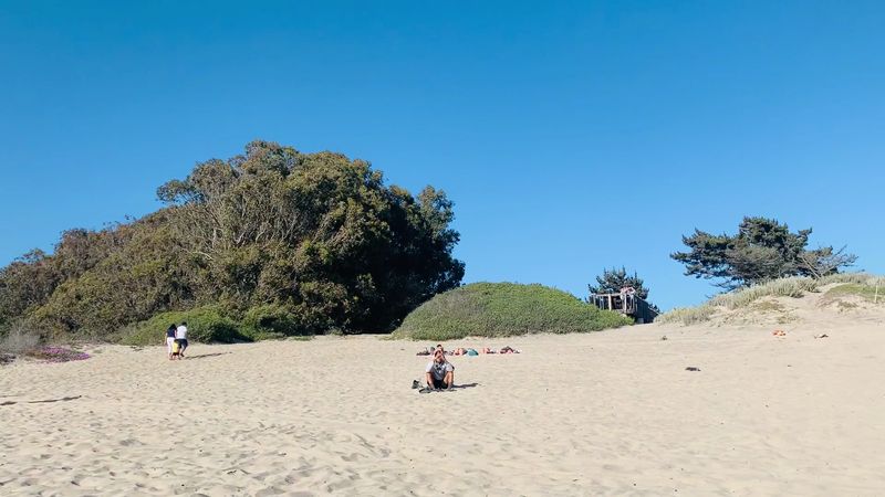 Picnic Areas and Family Amenities
