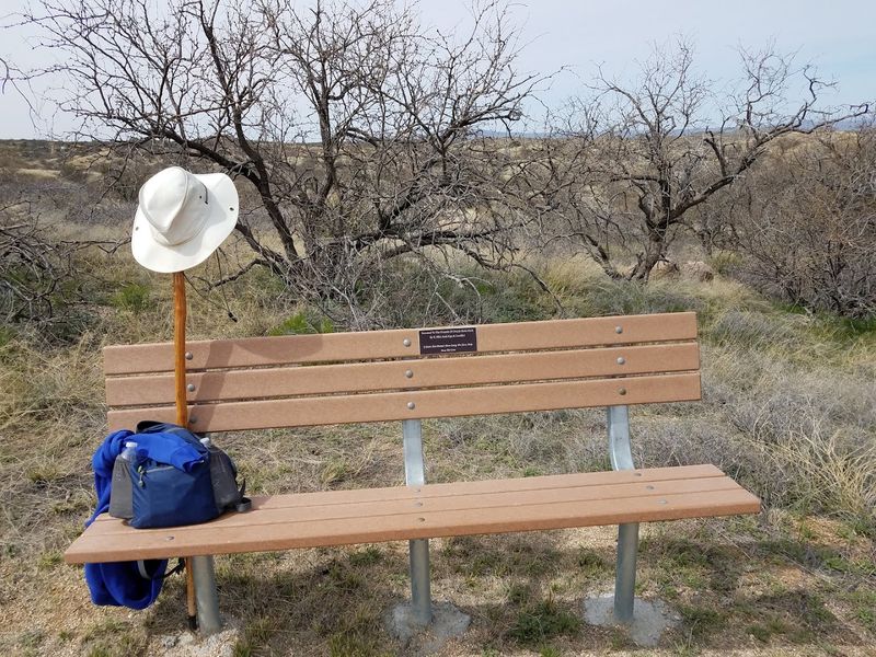 Picnic Areas and Ramadas Perfect for a Full Day Outside